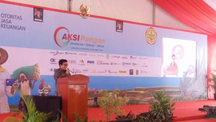OJK Pilih Kabupaten Lima Puluh Kota Luncurkan Program Aksi Pangan