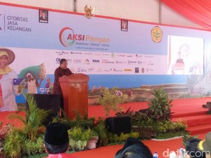 Darmin Minta Gubernur Sumbar Petakan Sawah Pakai Google Maps