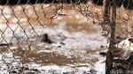 Lumpur Sisa Banjir Baleendah Kabupaten Bandung