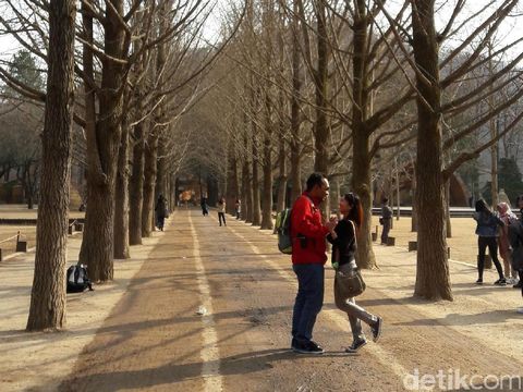 Tips Liburan Romantis Bareng Kekasih di Nami Island