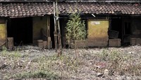 Rumah-rumah tersebut sepi karena ditinggalkan dan dibiarkan rusak oleh pemiliknya, Sabtu (25/3/2017).