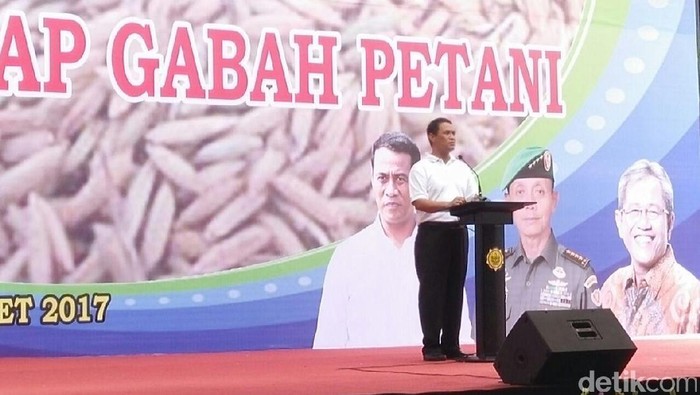 Mentan Minta Bulog Serap Gabah Kualitas Rendah Petani
