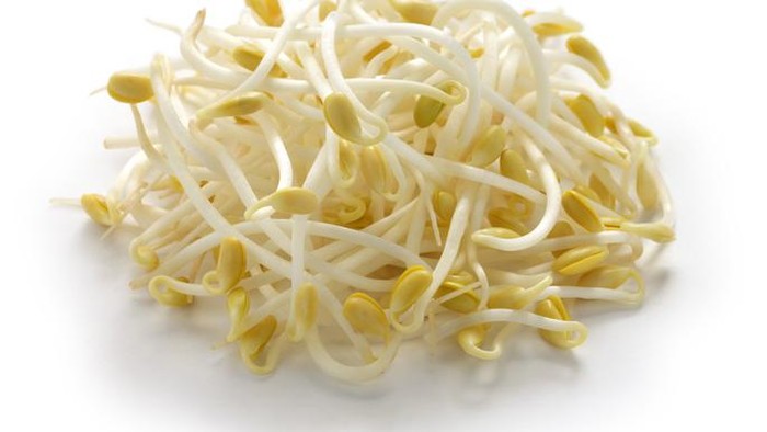 Kecambah atau tauge punya sederet manfaat bagi kesehatan. Foto: iStock Kecambah atau tauge punya sederet manfaat bagi kesehatan. Foto: iStock