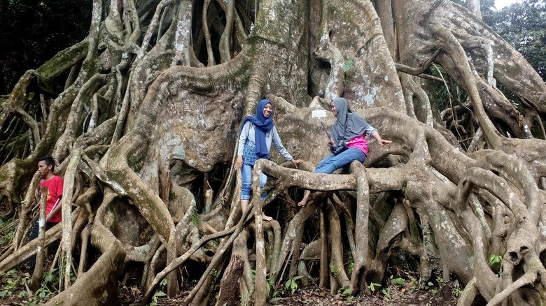 Pulang Kampung ke Jawa Timur, 5 Kota Ini Punya Destinasi Asyik