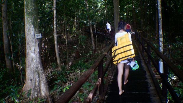 Perjalan menuju Danau Kakaban (Bonauli/detikTravel)