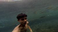 Berenang bersama ikan-ikan