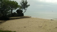 Berlokasi di Desa Daun Berbatu, Kecamatan Singkep, Kabupaten Lingga, Kepulauan Riau, traveler bisa menemukan Pantai Batu Berdaun yang unik. Soalnya, di pantai ini ada batu yang ditumbuhi pohon sampai daun (Baban/detikTravel)