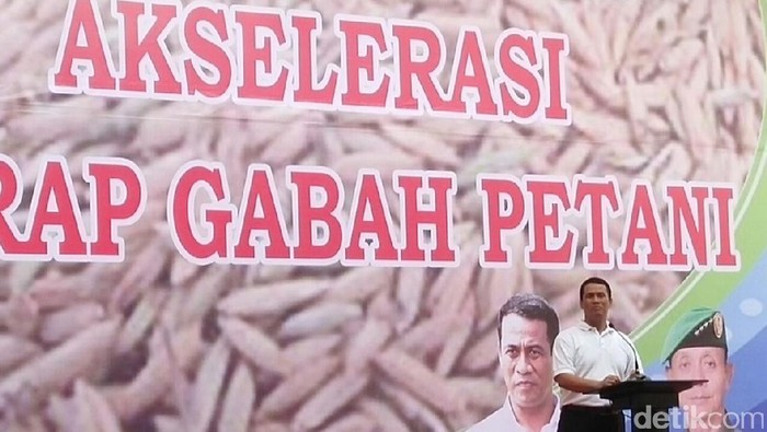 Mentan Naikkan Serapan Gabah dari 20.000 Ton/Hari jadi 30.000 Ton/Hari