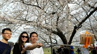 Warga berselfie dengan latar belakang bunga sakura di Monumen Washington. REUTERS/Yuri Gripas.