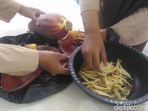 Tiga siswi ini membuat teh dari bunga jantung pisang
