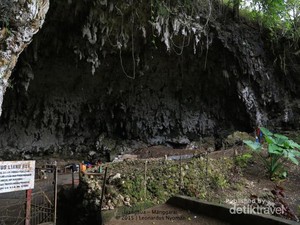 Heboh Soal Suku Mante, Ada Juga Cerita Manusia Kerdil di NTT