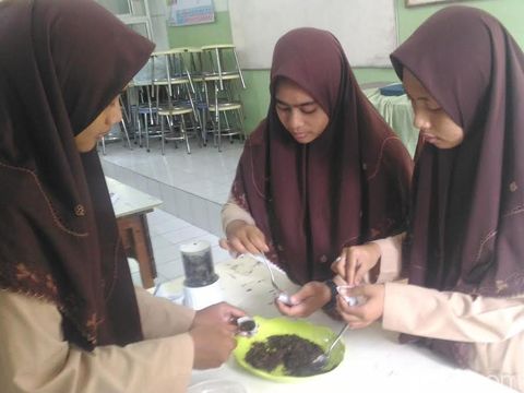 Tiga siswi ini membuat teh dari bunga jantung pisang