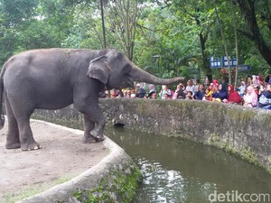 10 Hal yang Jangan Pernah Kamu Lakukan di Kebun Binatang