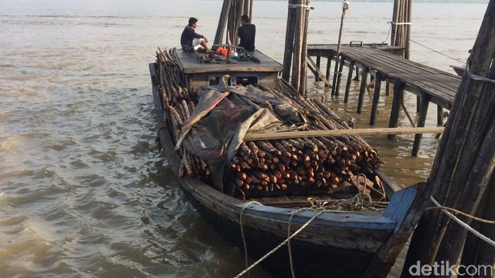 Polisi Tangkap Kapal Pembawa Kayu Jarahan yang akan Diselundupkan