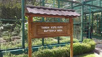 Kita juga bisa berkunjung ke taman kupu-kupu. Sebenarnya, ini tempat penangkaran kupu-kupu (Radian/detikTravel)