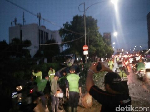 Pohon Besar yang Tumbang di MT Haryono Disingkirkan, Lalin Normal