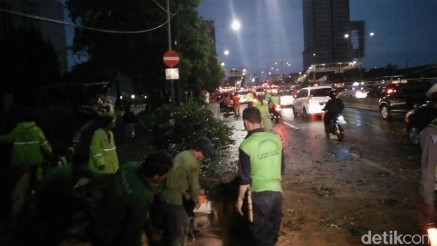 Pohon Besar yang Tumbang di MT Haryono Disingkirkan, Lalin Normal