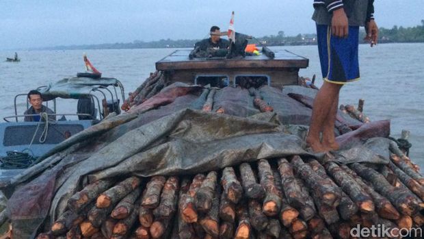 Polisi Tangkap Kapal Pembawa Kayu Jarahan yang Akan Diselundupkan