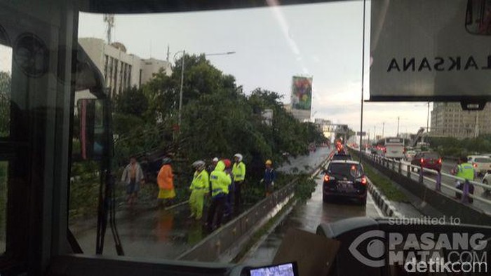 Jl MT Haryono Arah ke Cawang Tertutup Pohon, Mobil Lewat Busway