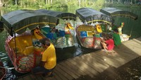 Biaya untuk masuk dan meikmari Ekowisata Boon Pring juga cukup murah, yakni Rp 5 ribu per orang. Hasilnya nanti untuk menunjang perawatan dan operasional ekowisata (Aminudin/detikTravel)