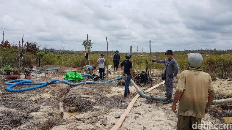Tanah Runtuh, Penambang Emas di Jambi Terjebak di Lubang Tambang Tanah Runtuh, Penambang Emas di Jambi Terjebak di Lubang Tambang