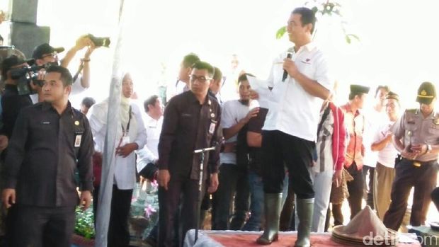 Mentan Amran Panen Jagung 120 Hektar di Pandeglang