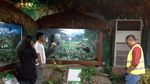 Yuk, Ajak Anak Lestarikan Burung Rangkong yang Terancam Punah