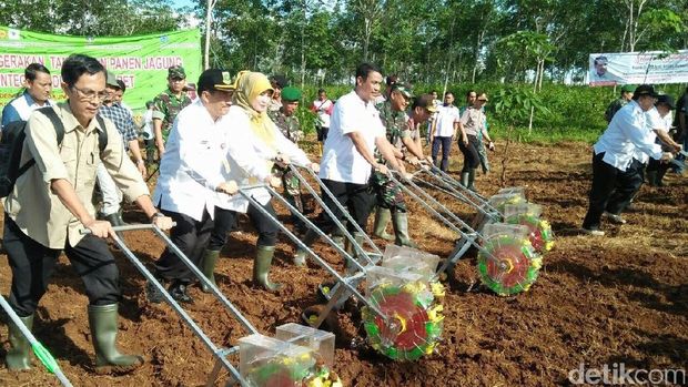 Mentan Amran Panen Jagung 120 Hektar di Pandeglang