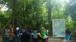 Ini Tempat Untuk Lihat Penyu Lucu & Unyu di Derawan