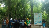 Penangkaran Sangalaki ini punya sebuah rumah sebagai stasiun monitoring dan sebuah kolam sebagai tempat sementara untuk tukik yang baru menetas (Bonauli/detikTravel)