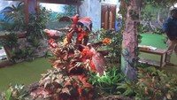 Foto: Tak hanya burung rangkong, ada juga hewan awetan lainnya yang dipajang. Akan ada petugas yang menceritakan kisah-kisah seru dan mengajak anak-anak untuk melestarikan hewan (Radian/detikTravel)