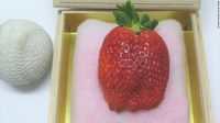 Wow! Semangka di Jepang Ini Dijual dengan Harga 336 Juta Rupiah