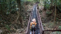 Selain ubur-uburnya yang instagenic, jembatan menuju danau ini pun tak kalah instagrammable (istimewa)