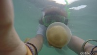 Naik ke atas Pulau Jawa, di Kalimantan terdapat Danau Kakaban di Kepulauan Derawan, Kalimantan Timur. Silakan menyelam dan bertemu ubur-ubur tak menyengat yang super langka di dunia (Bonauli/detikTravel)