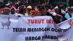 Peternak Tuntut Pemerintah Kendalikan Harga Ayam dan Telur