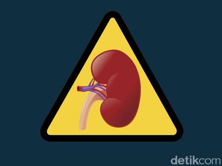 Kebiasaan Seperti Ini Tanpa Sadar Bisa Merusak Ginjal