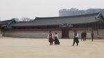 Belum Sah Liburan ke Seoul, Kalau Belum ke Gyeongbok Palace