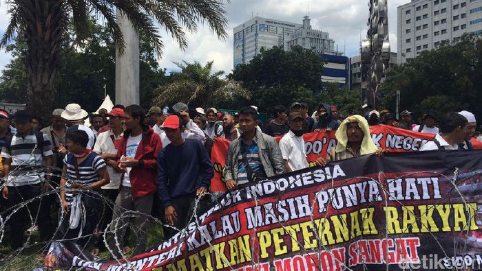 Foto: Muhammad Idris/detikFinance Foto: Muhammad Idris/detikFinance