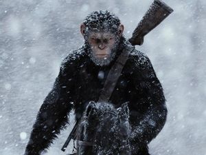 Daftar Film yang Bakal Tayang Juli 2017