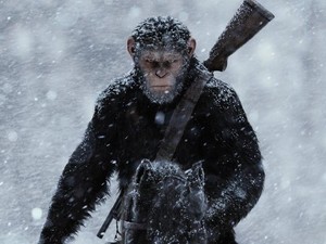 Daftar Film yang Bakal Tayang Juli 2017