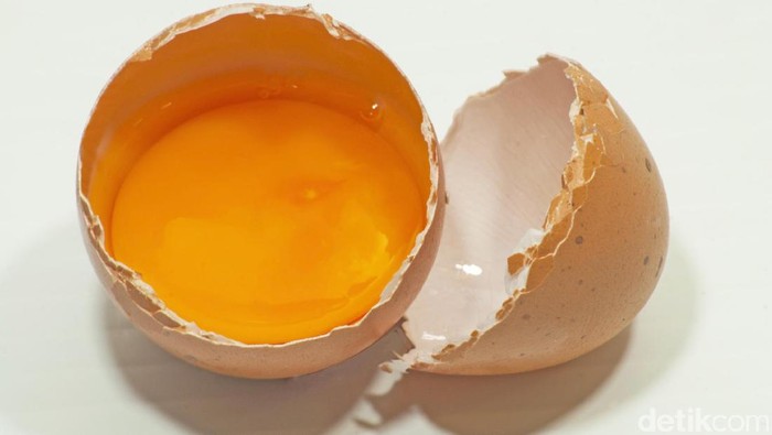 Ilustrasi kuning telur Ilustrasi kuning telur