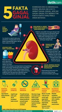 5 Fakta Gagal Ginjal Dalam Infografis