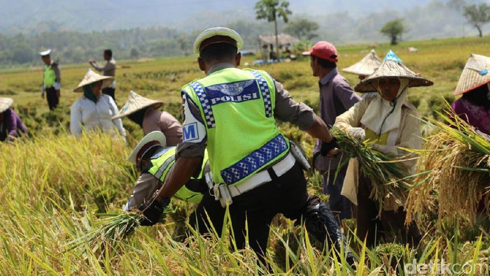 Polantas Imbau Petani di Aceh Besar Tak Bakar Jerami di Tepi Jalan