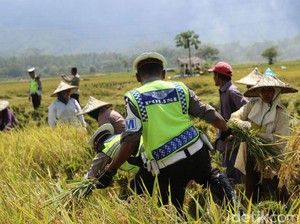 Polantas Imbau Petani di Aceh Besar Tak Bakar Jerami di Tepi Jalan