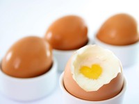 Telur Ayam yang Gurih Enak Ternyata Punya 10 Fakta Menarik Ini (1)