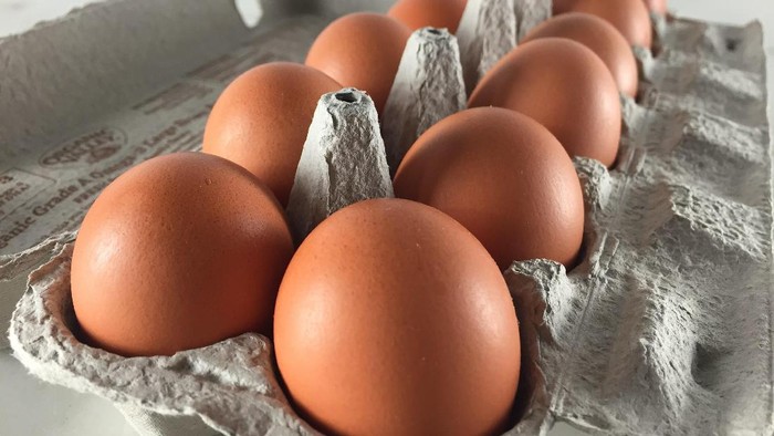 fakta telur ayam