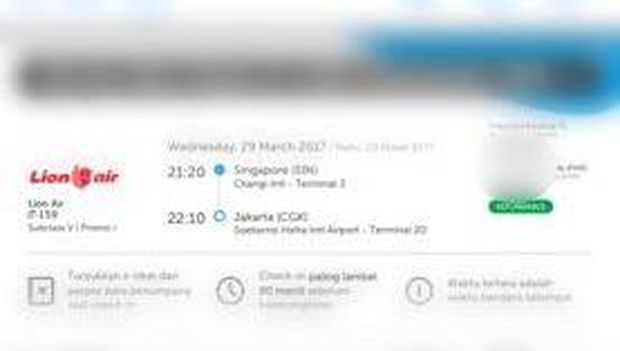Beli Tiket Lion Air dari Changi Malah Ditransfer ke Johor Bahru