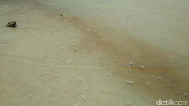 Saat Air Laut Derawan Berubah Jadi Pink