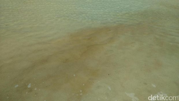 Saat Air Laut Derawan Berubah Jadi Pink
