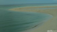 Pasir Timbul ini namanya Sanggalau. Dinamakan demikian karena keberadaanya yang muncul hanya pada pagi hari yaitu saat surut laut. Katanya bikin galau (Bonauli/detikTravel)